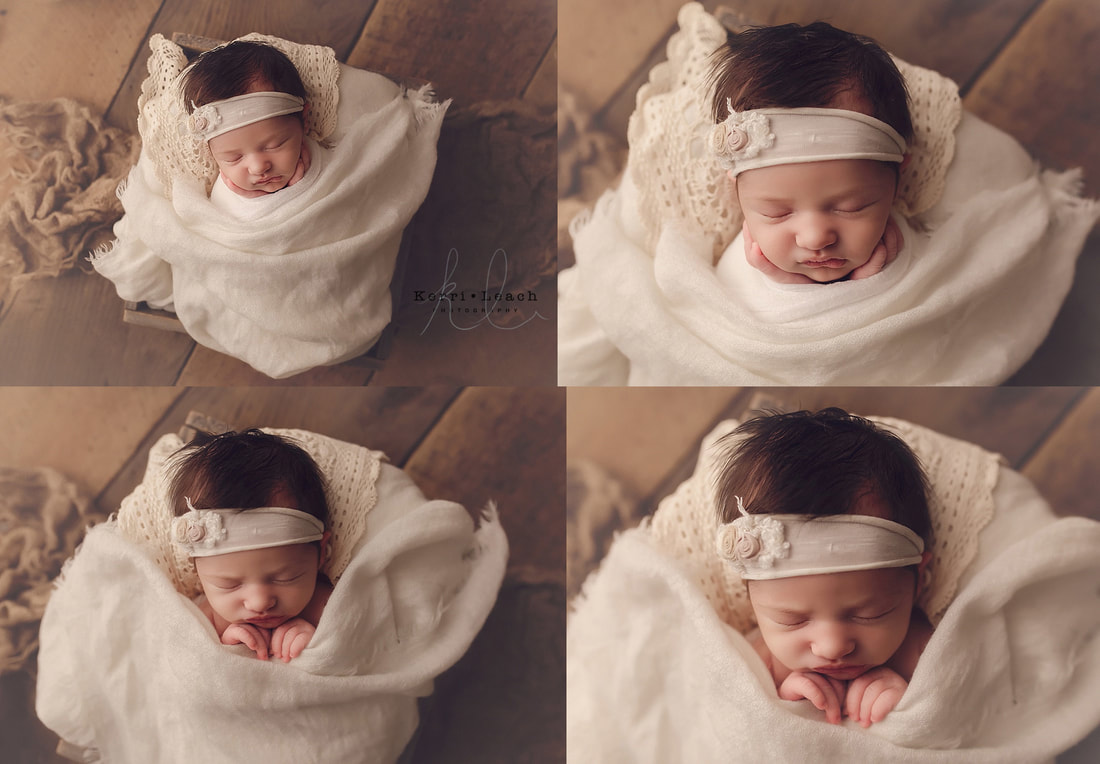 Newborn prop posing | Newborn photographer Evansville, IN | Owensboro area newborn photographer | Indiana newborn photographer