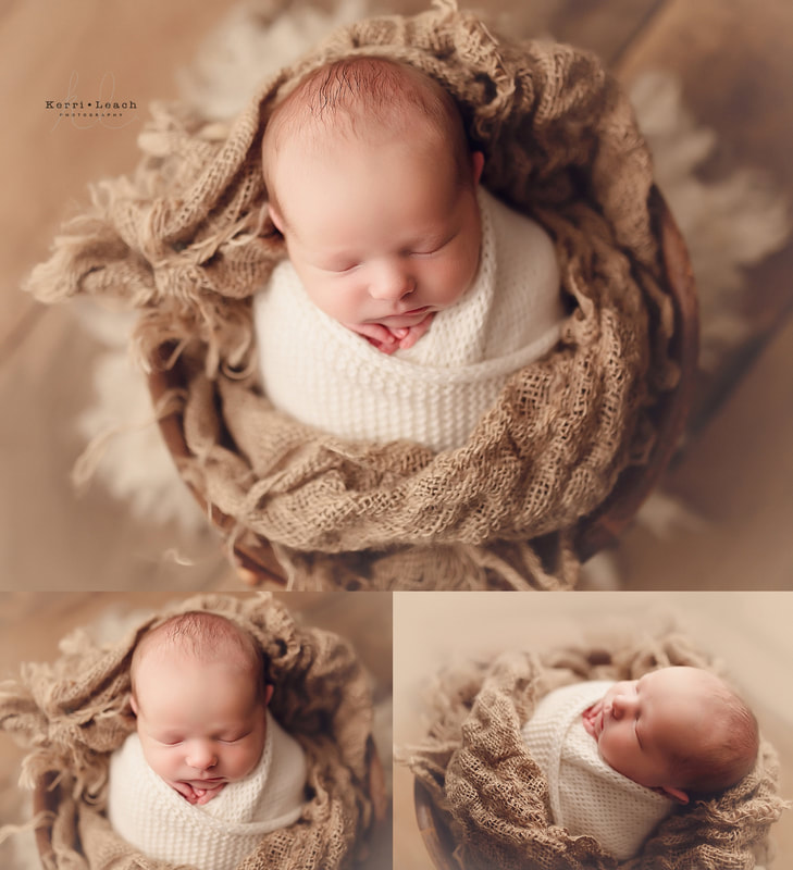 Newborn photographer Evansville | Indiana newborn photographer | Newborn photography posing | Prop posing Newborn photography | Kerri Leach Photography