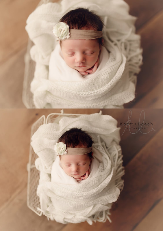 Newborn prop posing | Newborn photography | Newborn pose flow | Newborn photographer Newburgh, IN | Indiana newborn photographer