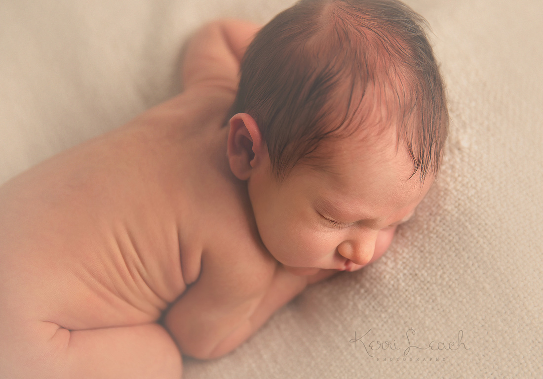 Kerri Leach Photography-Evansville newborn photographer-Evansville photographer-newborns-newborn photography