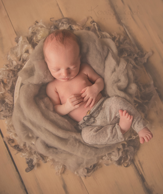 Kerri Leach Photography-Evansville IN newborn photographer-newborn photographer
