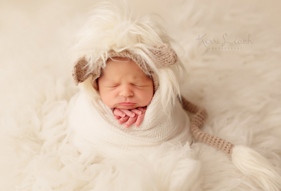 Newborn session Indiana | Newburgh, IN newborn photographer | Newborn poses | Newborns | Newborn photographer Evansville, Indiana