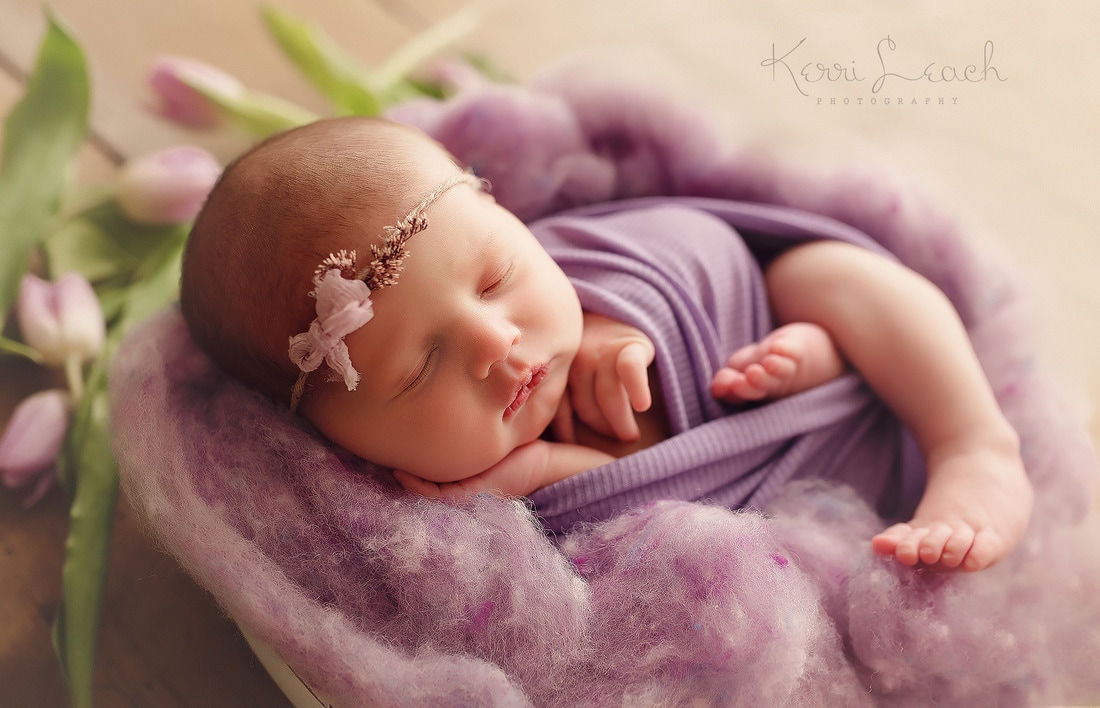 Newborn prop posing | Newborn photographer Evansville, Indiana