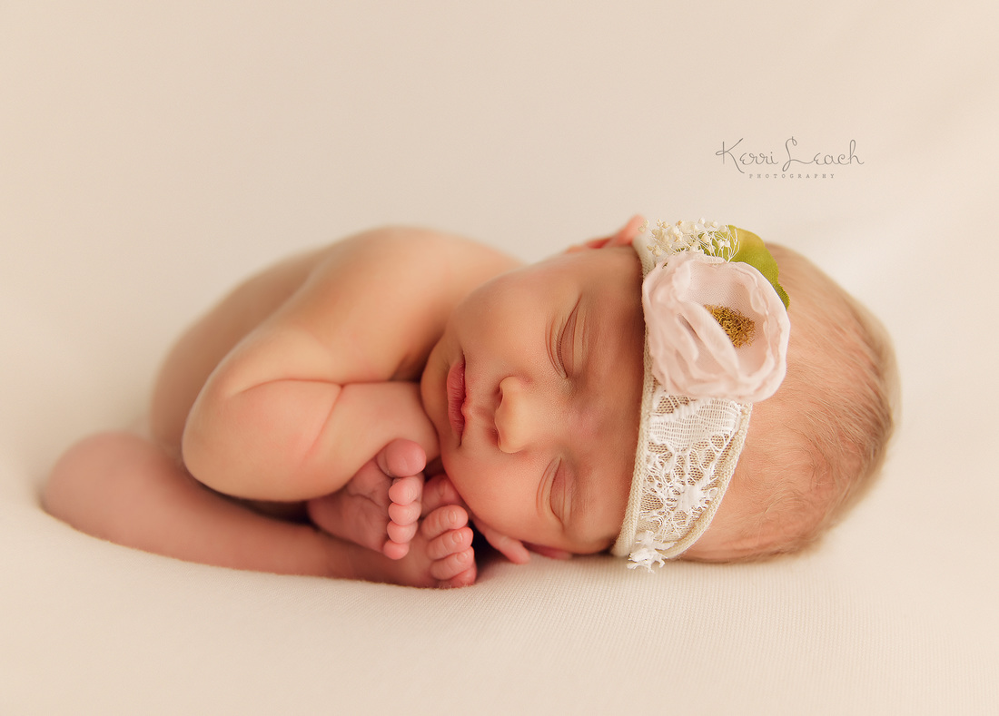 Newborn pose flow-Newborn session-Newborn bean bag-Evansville IN newborn photographer-Newborn photographer Indiana