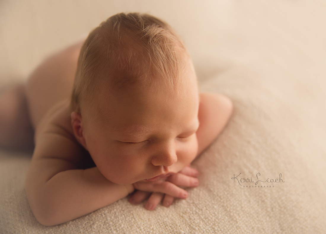 Kerri Leach Photography-Newborn session Evansville IN-newborn photographer Evansville