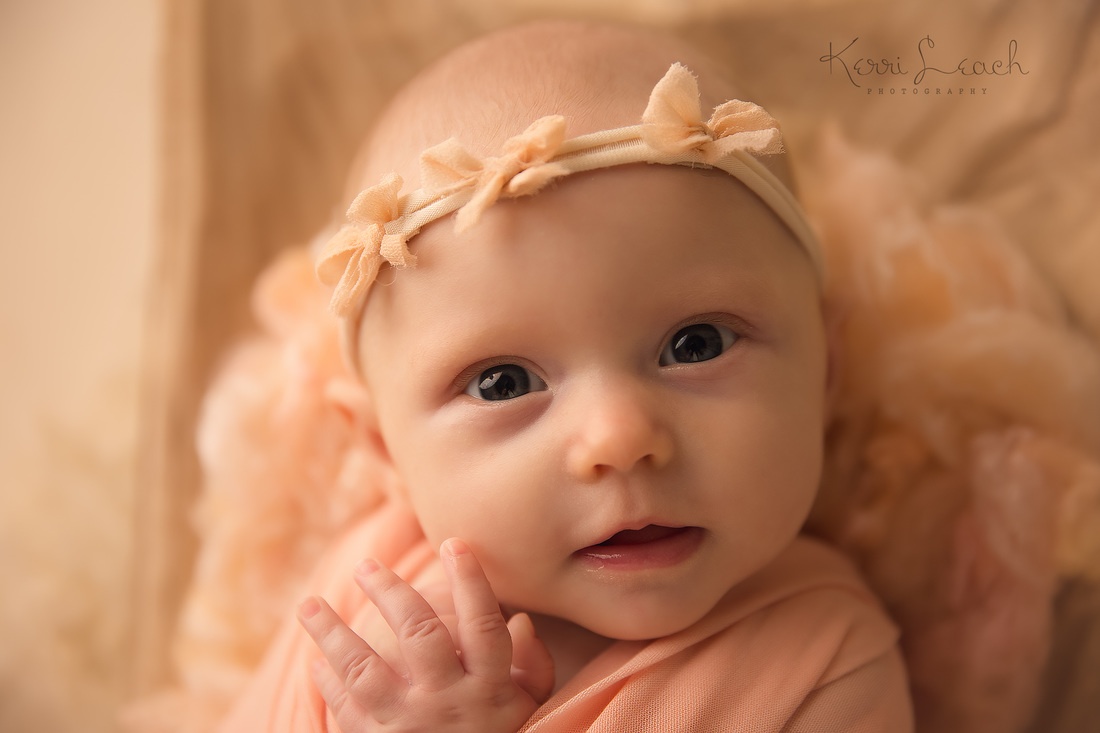 Kerri Leach Photography-Evansville IN newborn, baby, family photographer-3 month session-3 month milestone