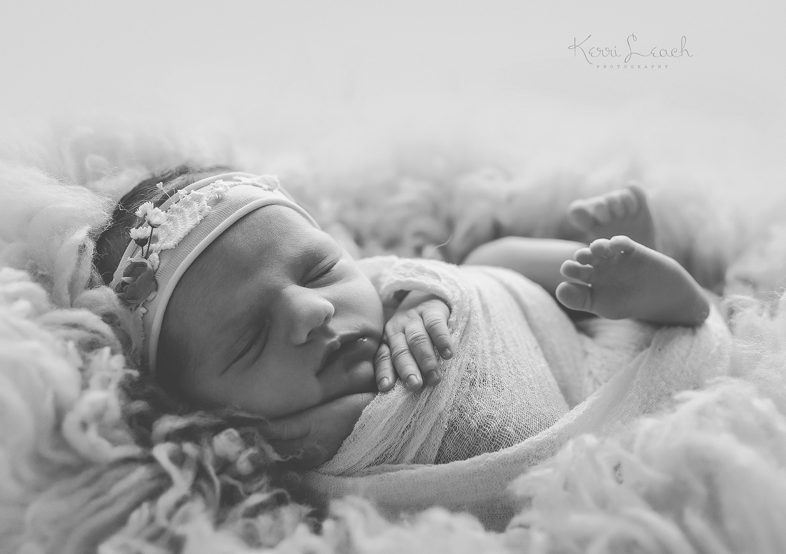 Kerri Leach Photography-Evansville IN newborn photographer-Newborn session poses-Newborn poses-Newborns-Newborn bean bag poses-Pose flow