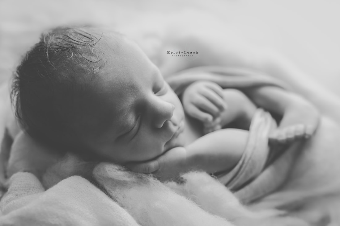 Kerri Leach Photography | Newborn prop posing | Newborn posing | Newborn photographer Evansville, IN | Newborn session mentoring | Indiana photographer