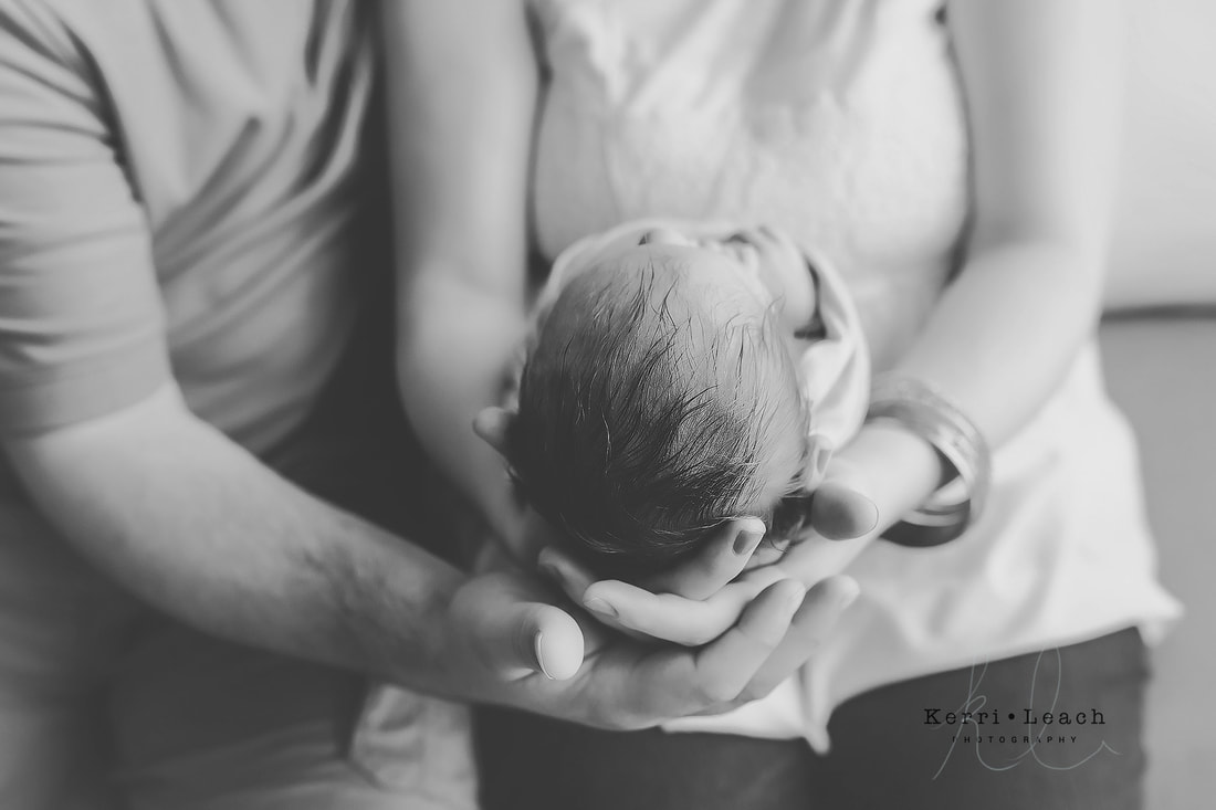 Kerri Leach Photography | Newborn prop posing | Newborn posing | Newborn photographer Evansville, IN | Newborn session mentoring | Indiana photographer