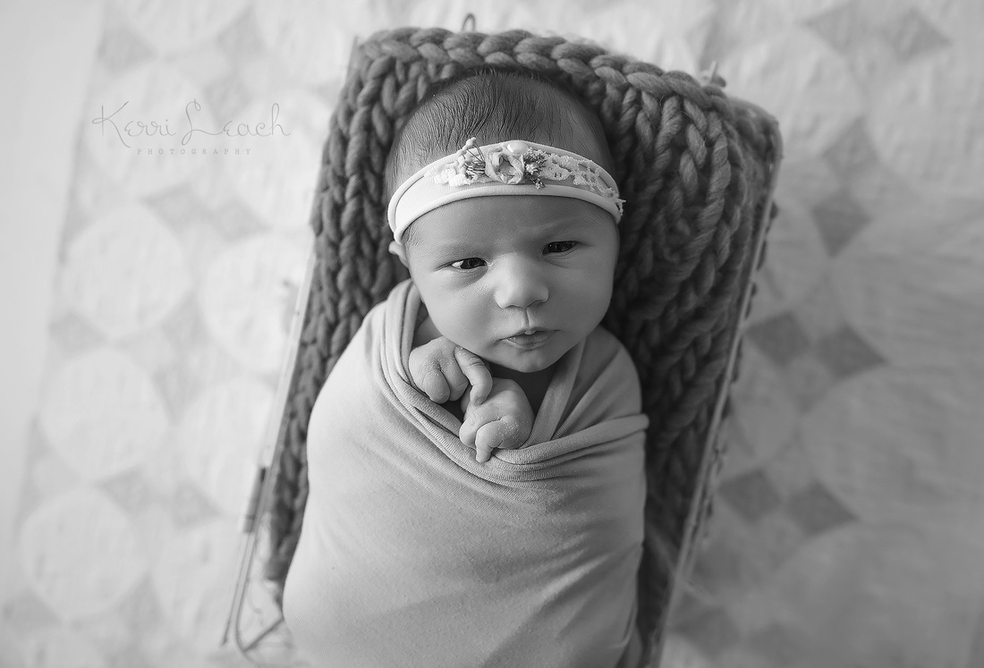 Kerri Leach Photography- Evansville IN newborn photographer-Evansville photographer-newborn photography