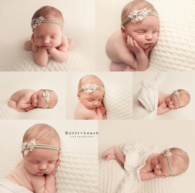 Newborn bean bag pose flow | Newborn mentoring| Newborn posing| Newborn photography| Kerri Leach Photography| Evansville, IN newborn photographer | Owensboro newborn photographer