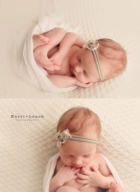 Newborn bean bag pose flow | Newborn mentoring| Newborn posing| Newborn photography| Kerri Leach Photography| Evansville, IN newborn photographer | Owensboro newborn photographer