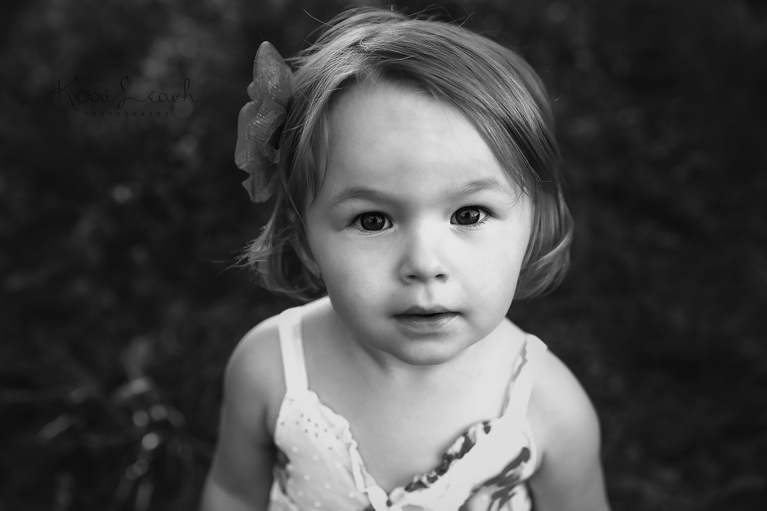 Kerri Leach Photography-Evansville IN newborn, child, family photographer-Evansville IN photographer-milestone session