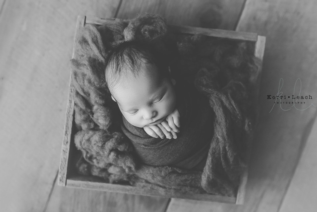 Newborn photographer Evansville, IN | Indiana newborn photographer | Newborn mentoring Indiana | Newborn prop 