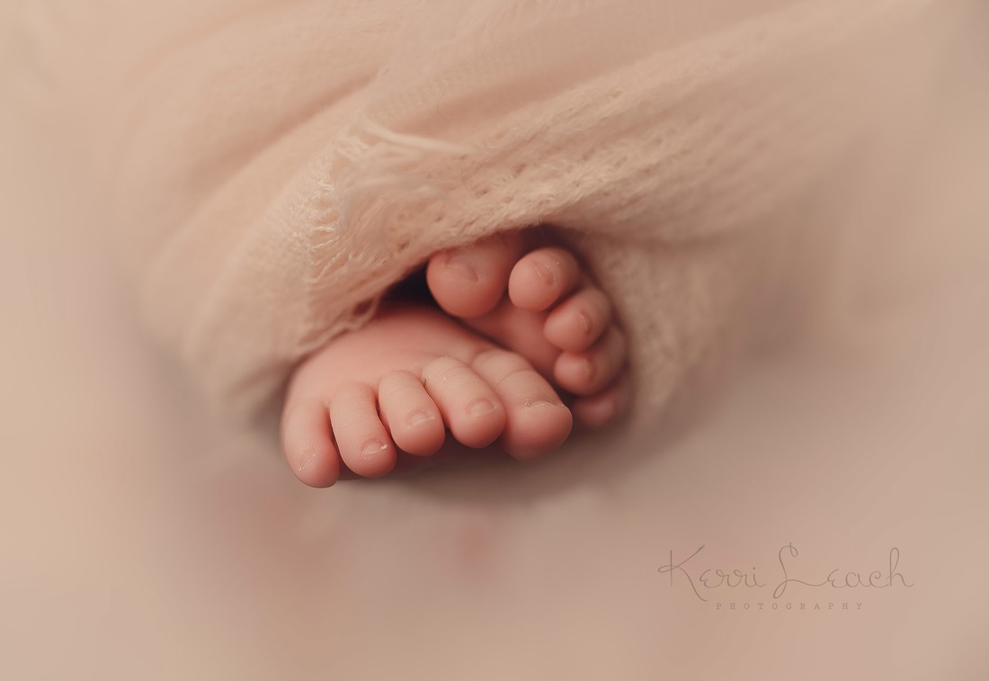Newborn session Evansville, IN-Indiana newborn photographer-Newborn session pose ideas