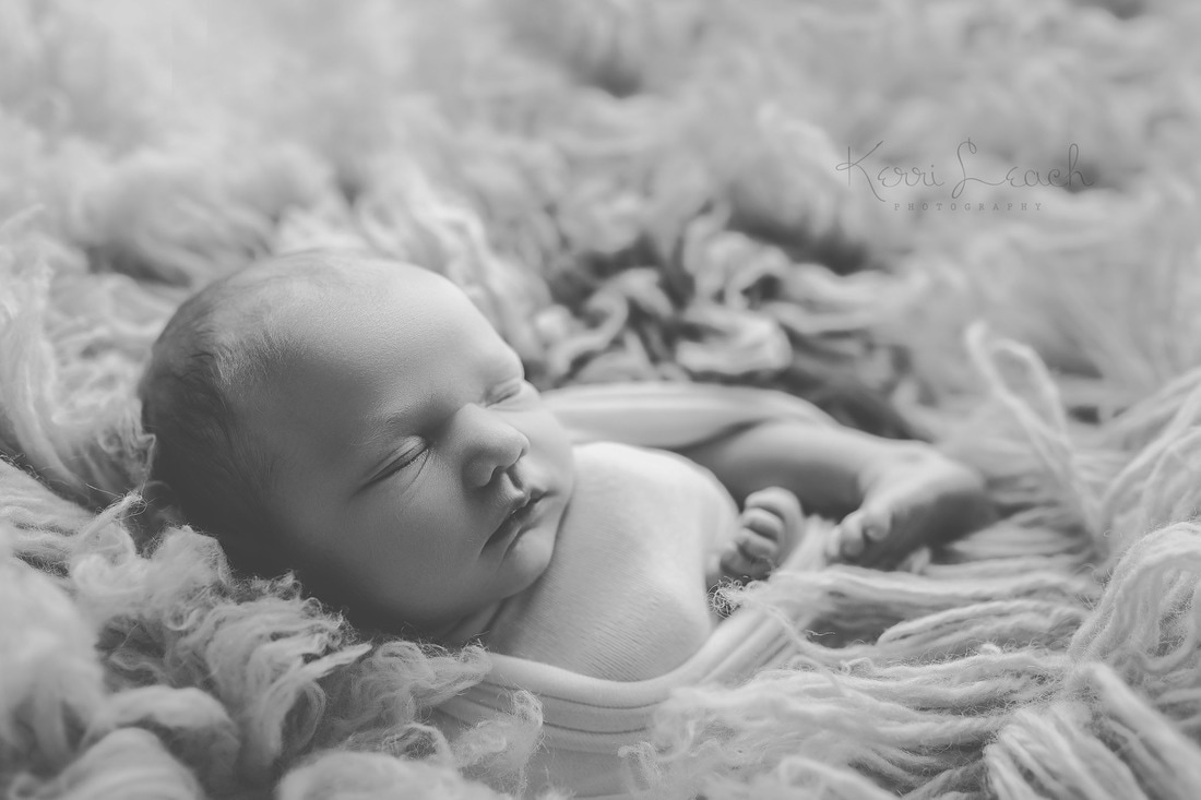 newborn session Evansville, IN-Indiana newborn photographer-Newborn session-Newborn photography-Newborn poses