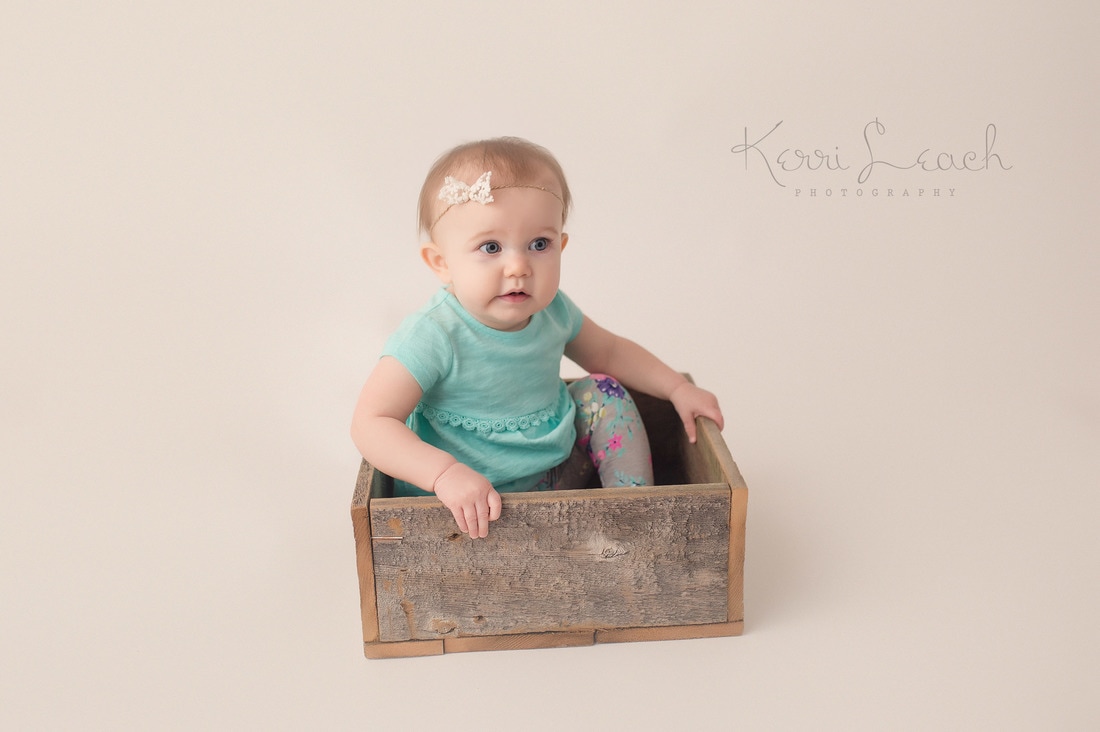 1 year session-milestone session-Evansville, IN photographer-Child photographer Indiana