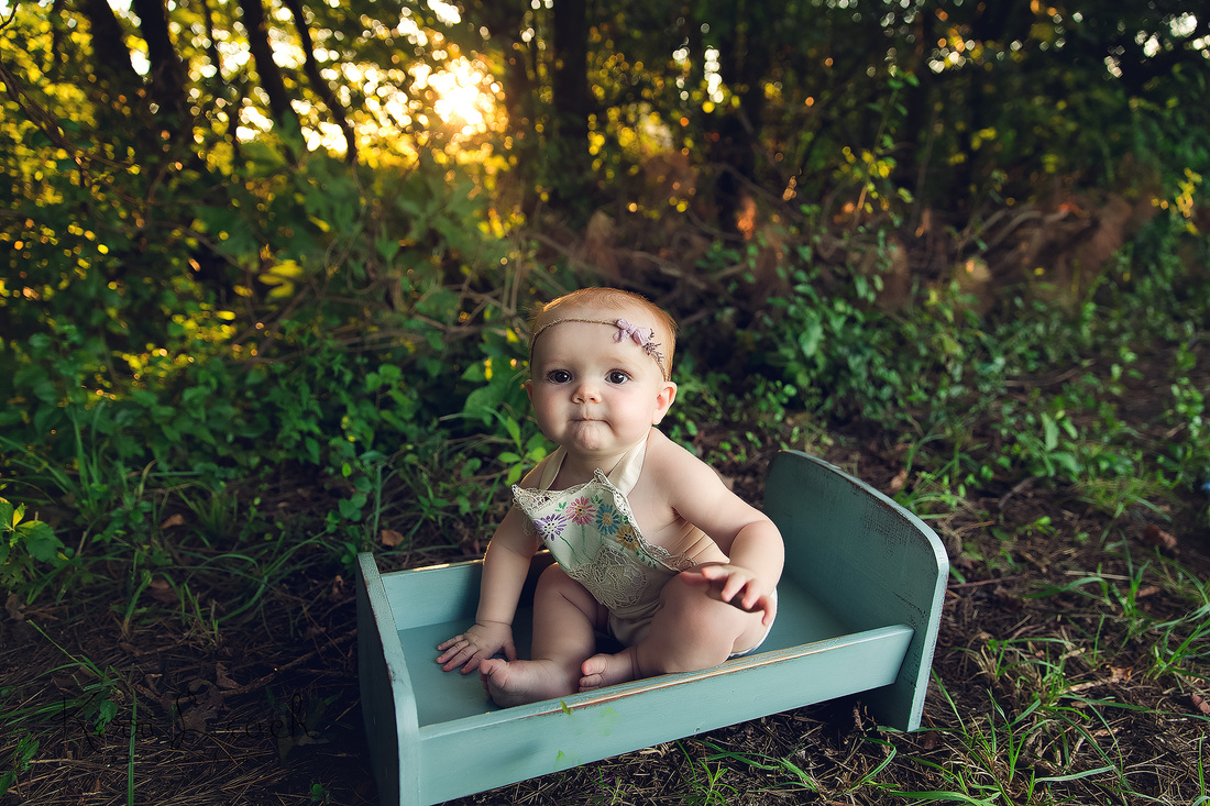 Kerri Leach Photography-Evansville IN newborn, baby and family photographer-Evansville IN milestone session