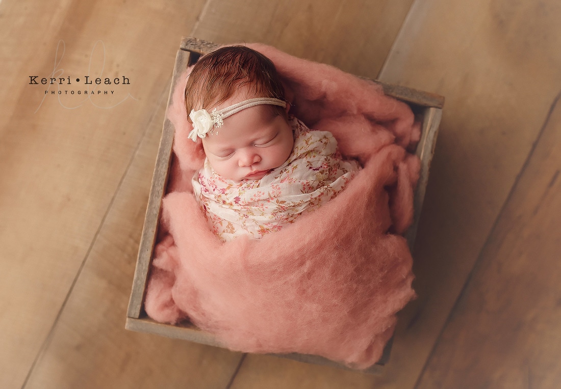 Newborn poses | Newborn session Newburgh, IN | Evansville, IN newborn photographer | Indiana newborn photographer | Newborns | Newborn photography | Kerri Leach Photography